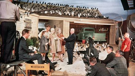 Alfred Hitchcock am Set mit Rod Taylor, Tippi Hedren und Jessica Tandy. 