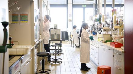 Der Plan, die befristete Einstellung von Postdoktoranden nur für drei statt sechs Jahre zu erlauben, gilt als besonders umstritten. 