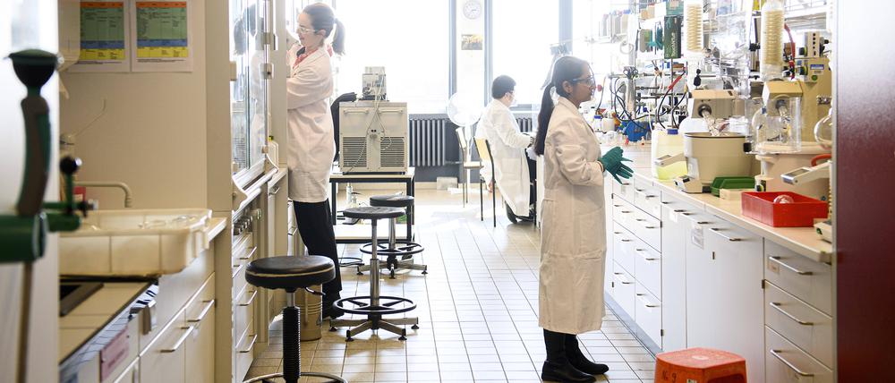Der Plan, die befristete Einstellung von Postdoktoranden nur für drei statt sechs Jahre zu erlauben, gilt als besonders umstritten.
