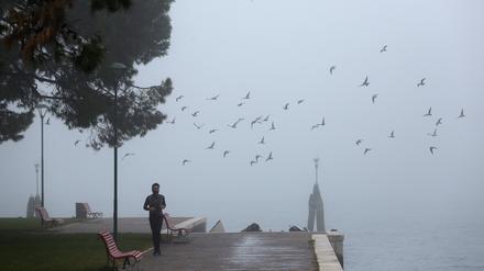 Laufschuhe an, Kopf aus? Zumindest im Grunewald lohnt es sich zusätzlich, die Augen offen zu halten.