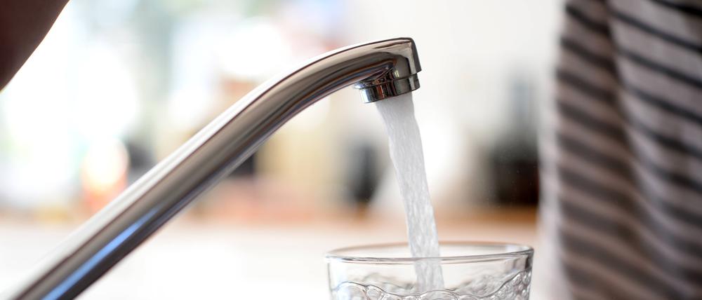 Frisches Leitungswasser fließt sprudelnd aus einem Wasserhahn in ein Glas
Wasser