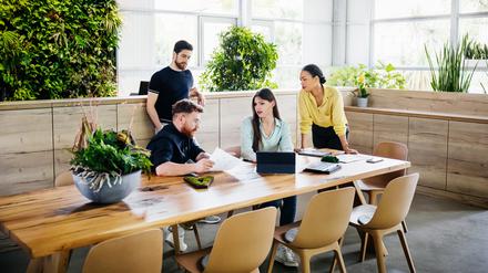 Das Nachhaltigkeitsbewusstsein bei Start-ups wächst. Die Zahl grüner Unternehmen steigt laut „Green Startup Monitor 2023“.