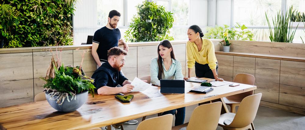 Das Nachhaltigkeitsbewusstsein bei Start-ups wächst. Die Zahl grüner Unternehmen steigt laut „Green Startup Monitor 2023“.
