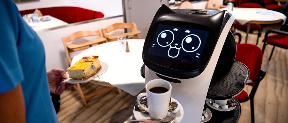 Servierroboter wie dieser finden allmählich Einzug in Potsdamer Gastronomiebetriebe.