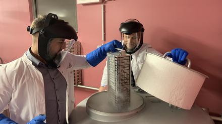 Nabelschnurblutzellen aus der Ukraine in der Biobank der Charité.