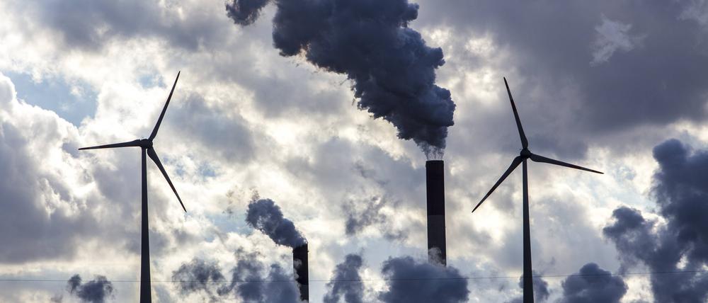 Windenergieanlage auf der Halde Scholven, direkt neben dem E.ON-Steinkohlekraftwerk Scholven (Symbolbild)