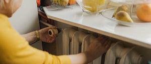 Wie sollen Heizkörper künftig betrieben werden?