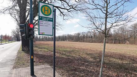 Nedlitzer Straße, geplanter Standort für eine Flüchtlingsunterkunft in Potsdam.