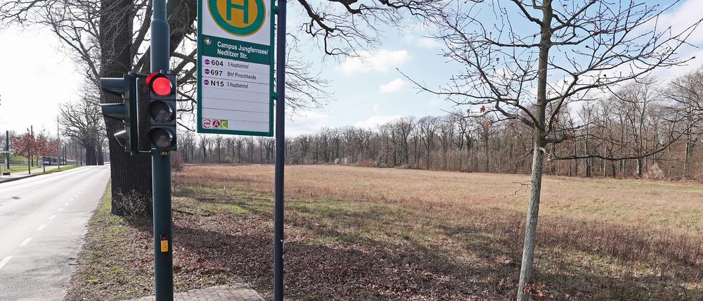 Auf der Brache am Campus Jungfernsee ist ein Standort für eine Flüchtlingsunterkunft geplant.
