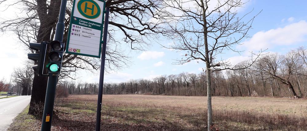 Auf dieser Fläche am Campus Jungfernsee könnte das Containerdorf entstehen.