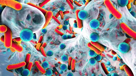 Bakterien können nicht nur akute Infektionen, sondern auch eine Sepsis auslösen. Grund ist eine überschießende Reaktion des Immunsystems.