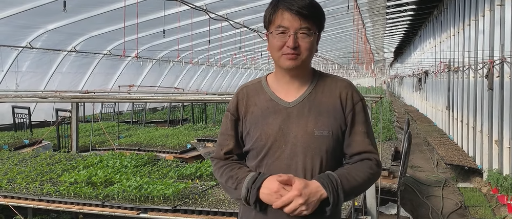 Agrarwissenschaftler Dong Jianyi betreibt in Alberta das Unternehmen Fresh Pal Farms und baut sein Gemüse in passivsolaren Gewächshäusern.