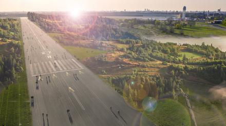 Tempelhofer Feld - Wald-Utopie