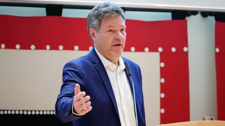 Bundeswirtschaftsminister Robert Habeck (Grüne) ist verärgert. 
