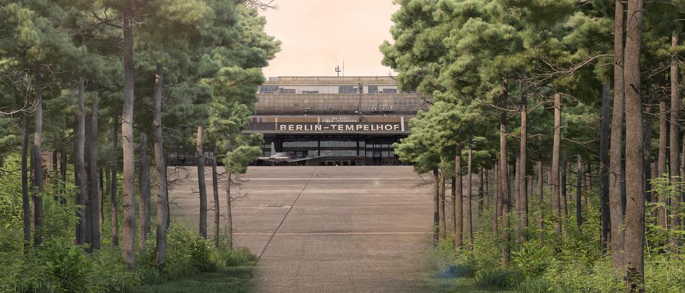 Drachensteigen, Skaten, Joggen, Grillen, Gärtnern oder einfach mal in die Ferne schauen – das alles wäre so nicht mehr drin, würde aus dem Tempelhofer Feld ein Wald.