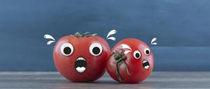 Bei Trockenheit oder beim Abschneiden von Blättern erzeugen Tomaten und andere Pflanzen Geräusche.