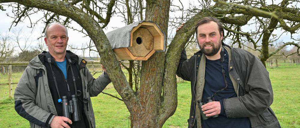 Ralf Donat (l), Leiter des Natur-Erlebniszentrums Wanninchen der Sielmann-Stiftung und Philipp Juranek, Hobby-Ornithologe und Naturschützer haben einen Wiedehopf-Brutkasten auf einer Wiese vom Natur-Erlebniszentrum Wanninchen an einem alten Obstbaum angebracht.