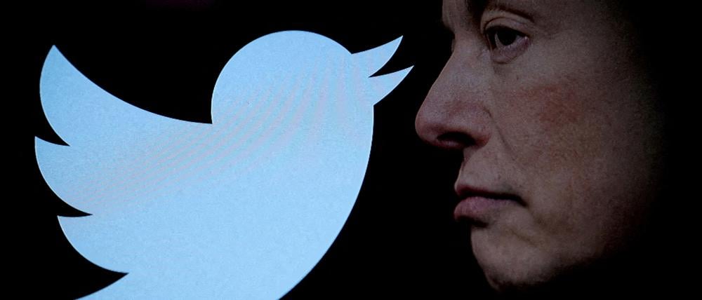 Elon Musk neben dem Twitter-Logo.