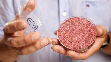 Professor Mark Post von der Universität Maastricht zeigt künstliches Fleisch aus dem Labor in einer Petrischale bei einer Produktpräsentation in London.