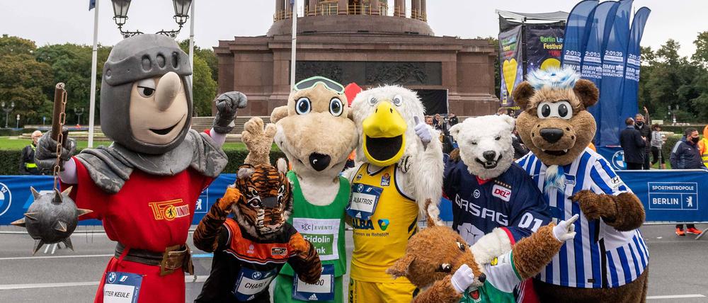 Die Maskottchen der Berliner Profivereine.
