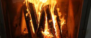 Ein Kaminfeuer-Video hat in Tschechien für einen Feuerwehreinsatz gesorgt. 