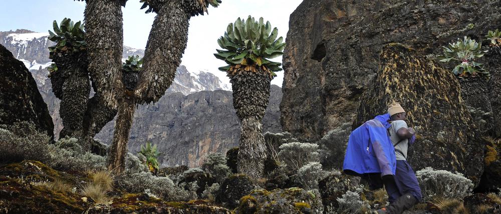 Wandern in subtropischen Gebieten.