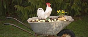 Porzellan-Hahn in Schubkarre mit Ostereiern und Osterglocken. Symbolfoto, Themenfoto *** Porcelain rooster in wheelbarrow with Easter eggs and daffodils symbol photo, theme photo Foto:xB.xSchubertx/xFuturexImage