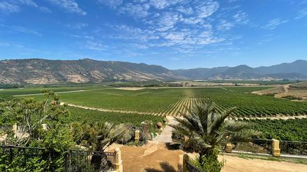Das Weingut Viña Santa Cruz im Valle de Colchagua in Chile.