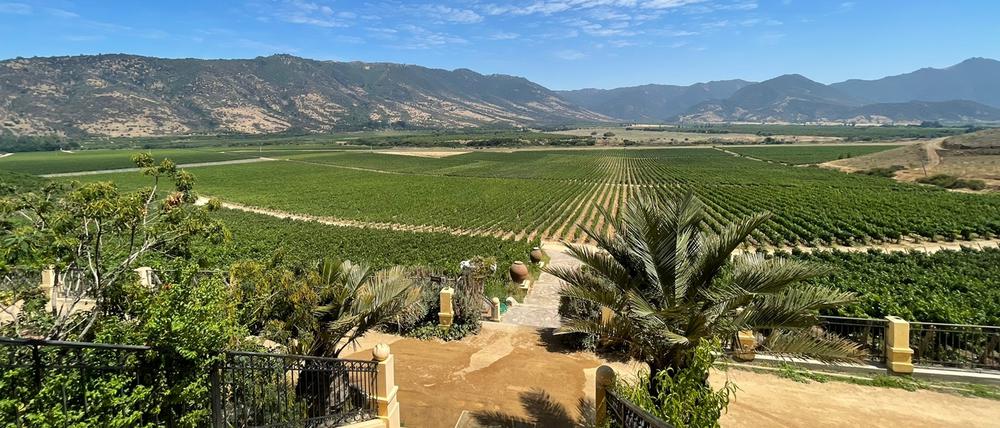 Das Weingut Viña Santa Cruz im Valle de Colchagua in Chile.