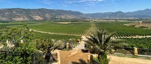 Das Weingut Viña Santa Cruz im Valle de Colchagua in Chile.