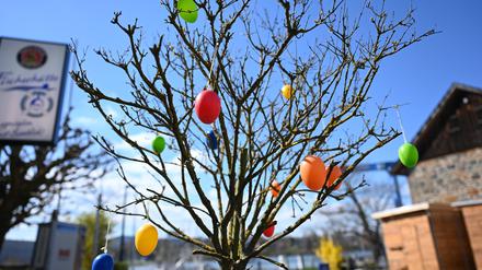 Bunte Ostereier schmücken bei Sonnenschein einen noch kahlen Baum. Das Osterwetter verspricht wechselhaft zu werden. 