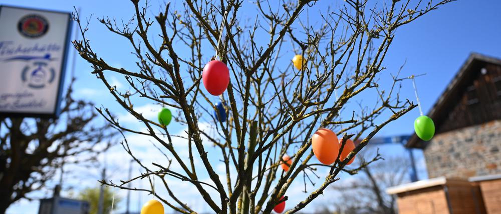 Bunte Ostereier schmücken bei Sonnenschein einen noch kahlen Baum. Das Osterwetter verspricht wechselhaft zu werden. 