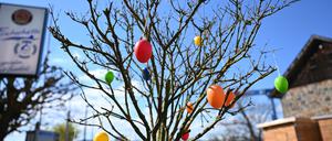 Bunte Ostereier schmücken bei Sonnenschein einen noch kahlen Baum. Das Osterwetter verspricht wechselhaft zu werden. 