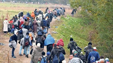 Migranten an der kroatisch-slowenischen Grenze. 