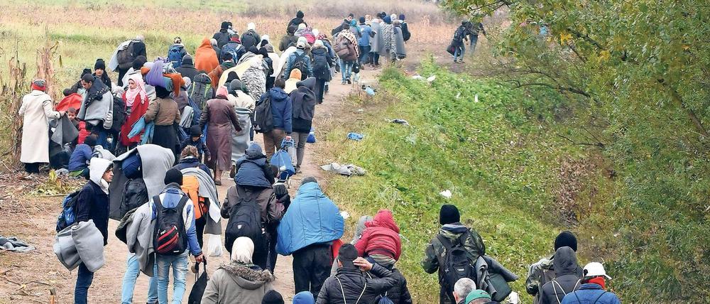 Migranten an der kroatisch-slowenischen Grenze. 
