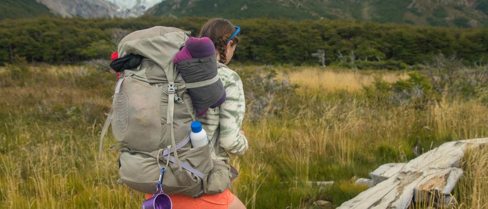 Wanderer geht auf einem Holzsteg, Torres del Paine