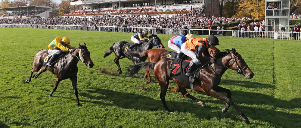 Am Sonntag stehen zehn Rennen in Hoppegarten an, 108 Rennpferde wurden dafür angemeldet.