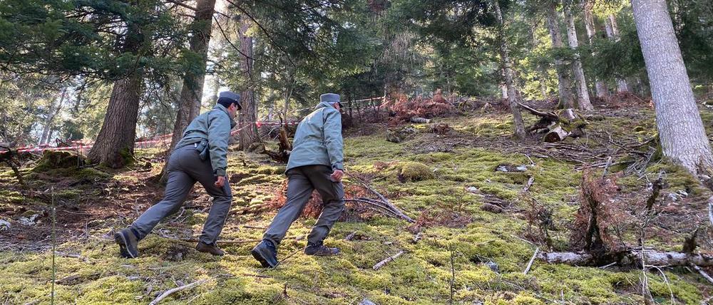 Polizeibeamte gehen durch den Wald vor einem mit Flatterband abgesperrten Bereich.