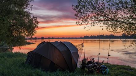 Farbenprächtig leuchtet der Morgenhimmel kurz vor Sonnenaufgang über dem deutsch-polnischen Grenzfluss Oder am Rande des Oderbruchs in Ostbrandenburg. Am Ufer stehen ein Zelt und Angeln. Auch Kinder mögen dieses Hobby – für sie gibt es in Berlin und Brandenburg unterschiedliche Regelungen.