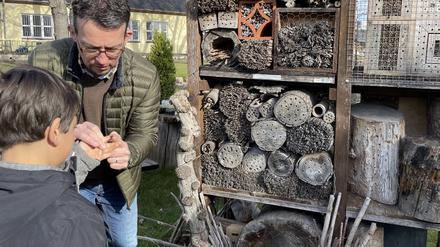 Matthias Schüller setzt einem Schüler im Wildbienenschaugarten in Schöneweide eine Wildbiene auf die Hand