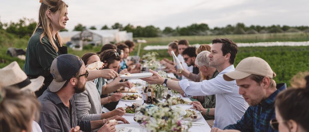 Pop-up-Dinner auf den Feldern von „Gut & Bösel“.