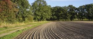 Kampf um Grund und Boden: Die Preise für Ackerland steigen, sowohl für den Kauf als auch für die Pacht. Viele Landwirte können sich neue Flächen nicht mehr leisten.