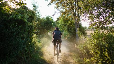 Der moderne Radfahrer weicht auf Schotter-, Wald- und Wiesenwege aus.