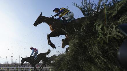 Hohe Hürden. Nach dem Tod von drei Pferden beim traditionsreichen Rennen von Aintree nahe Liverpool fordern Aktivisten ein Verbot solcher Wettbewerbe. 