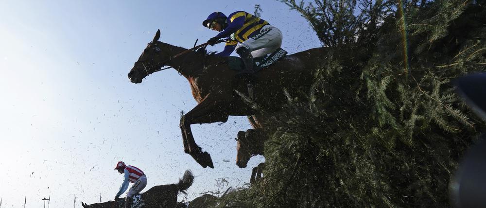 Hohe Hürden. Nach dem Tod von drei Pferden beim traditionsreichen Rennen von Aintree nahe Liverpool fordern Aktivisten ein Verbot solcher Wettbewerbe. 