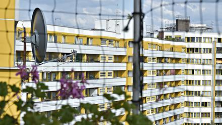 Nicht auf jedem Berliner Balkon blüht es. Das könnte es aber, wie hier auf einem Balkon des Zentrums Kreuzberg.