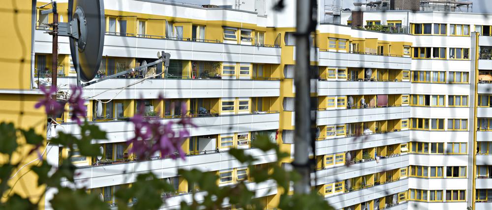 Nicht auf jedem Berliner Balkon blüht es. Das könnte es aber, wie hier auf einem Balkon des Zentrums Kreuzberg.
