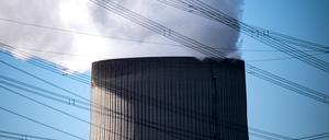 Nach Angaben des Vereins Kerntechnik Deutschland erzeugten deutsche Atomkraftwerke zwischen 1961 und Ende 2021 rund 5560 Milliarden Kilowattstunden Strom brutto.