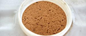 Blick in einen Behälter mit Altfett im Technikum im Bereich Verfahrenstechnik am Campus Life Sciences der HAW.