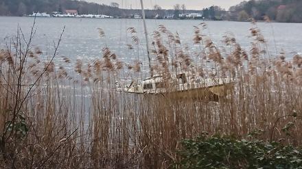 Exemplarisch für viele Schrottkähne im Wasser: Die „Yellow Submarine“ liegt seit 2019 (!) vor Kladow im Wasser - und es findet sich keine Behörde, die das Problem beseitigt. 